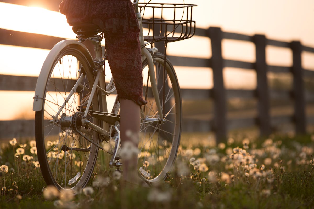 Romantic couple with bicycles and flowers